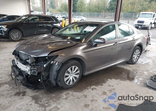 4T1C31AK5LU543329: 43599664