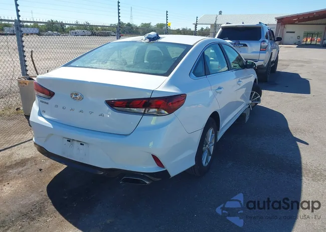 5NPE24AF2JH607175: 43599229