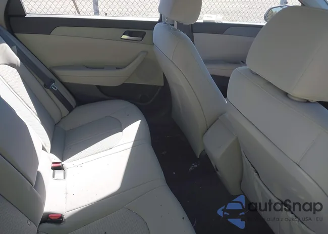 5NPE24AF2JH607175: 43599229