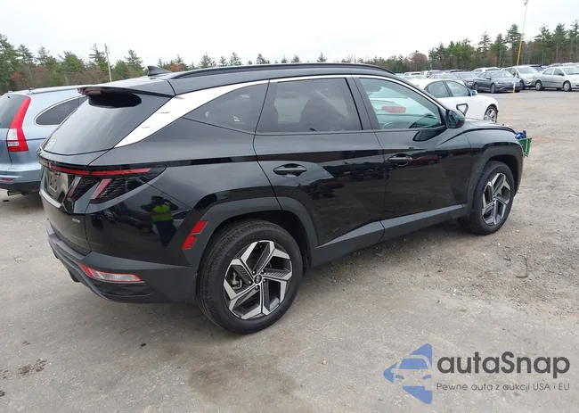 5NMJFCDE6RH395423: 43600520