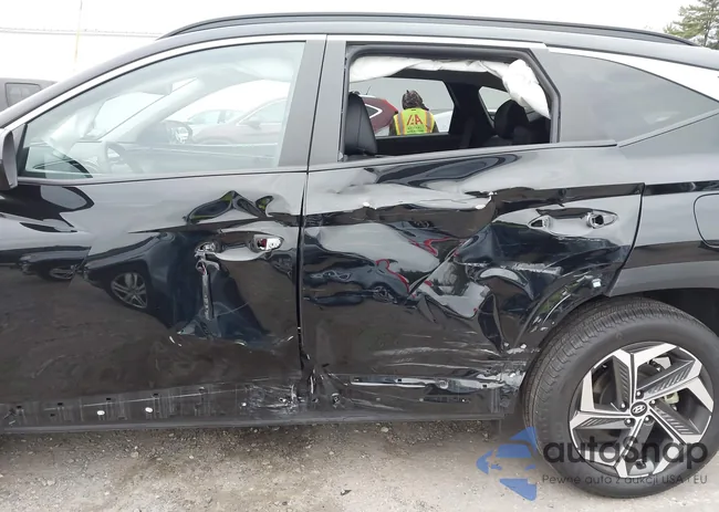 5NMJFCDE6RH395423: 43600520