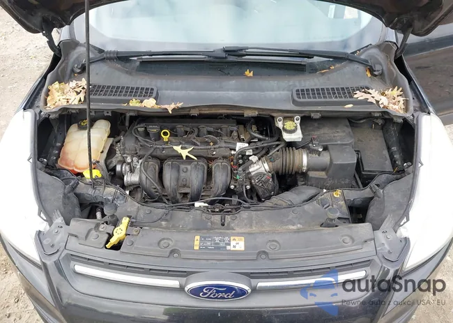 1FMCU0G7XFUA22704: 43600574