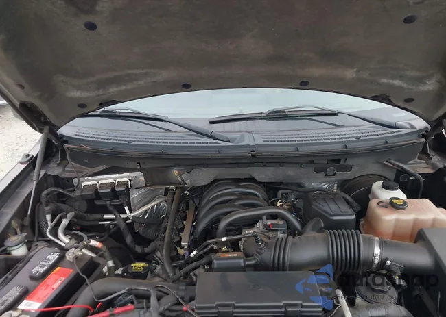 1FTEW1C88AFA05862: 43601418