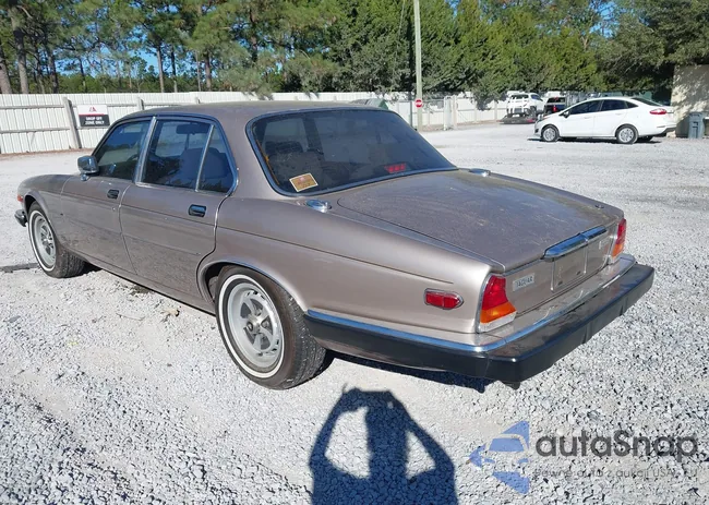 SAJAY1349HC466975: 43601875