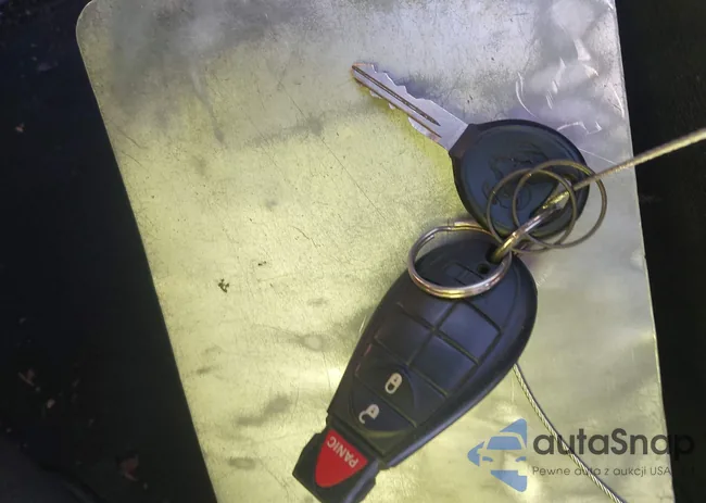 1D7RV1GT4AS261156: 43602414