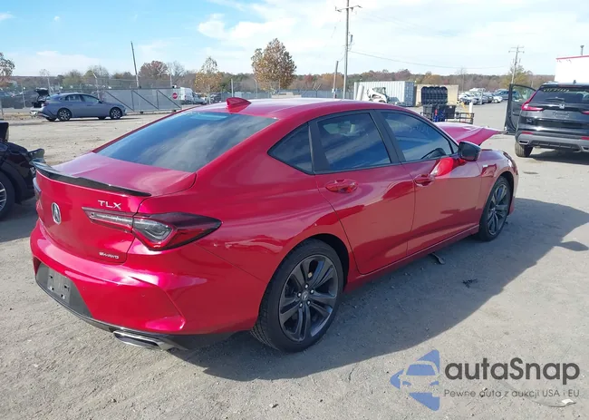 19UUB6F50MA005802: 43602804