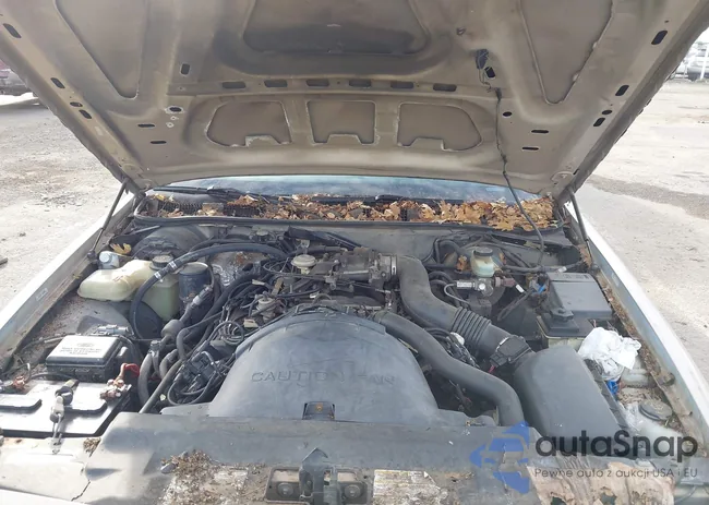 2FALP71W4VX207848: 43603542