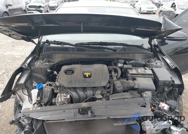 3KPF54AD2PE619480: 43603579