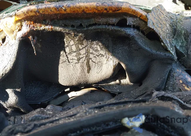 JTMFB3FV0MD059931: 43602995