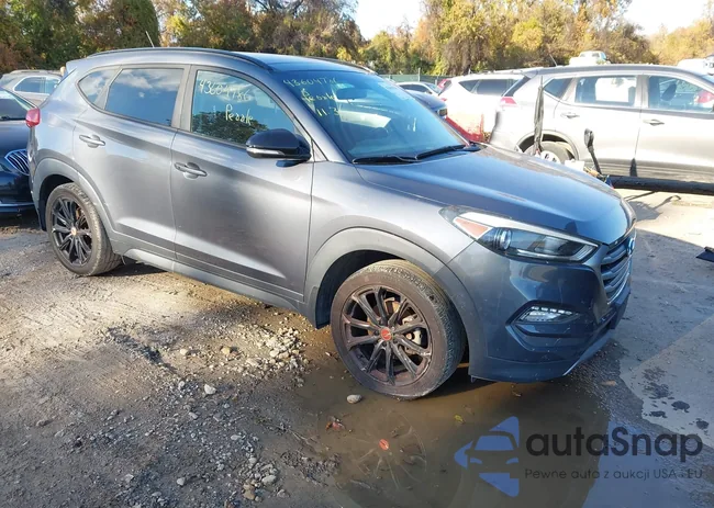 KM8J33A24HU487720: 43604786