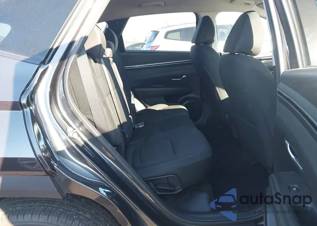 5NMJBCAEXPH290817: 43604813