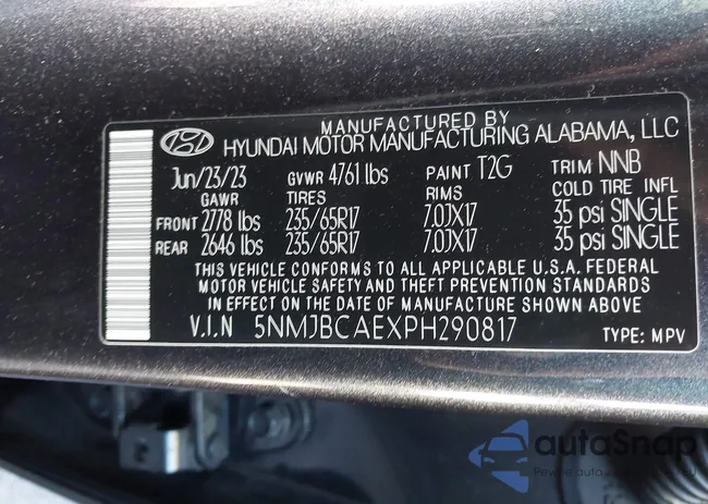 5NMJBCAEXPH290817: 43604813