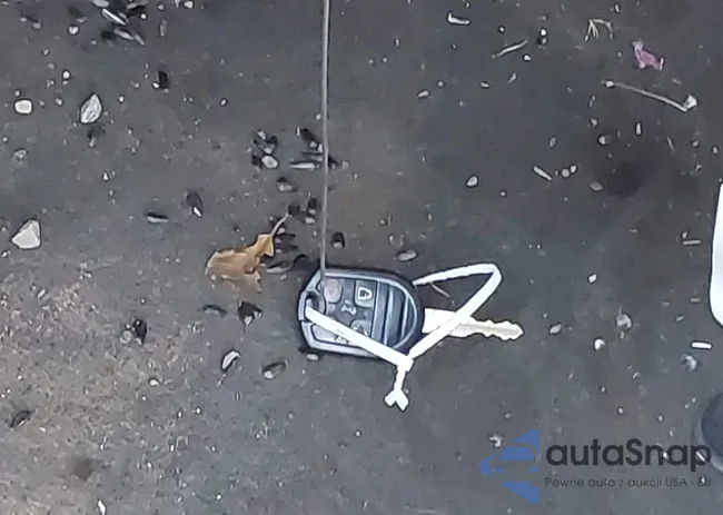 2FMDK4GC0EBA95888: 43605513