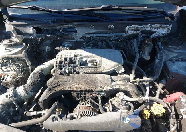 4S4BRBLC7C3212604: 43604905