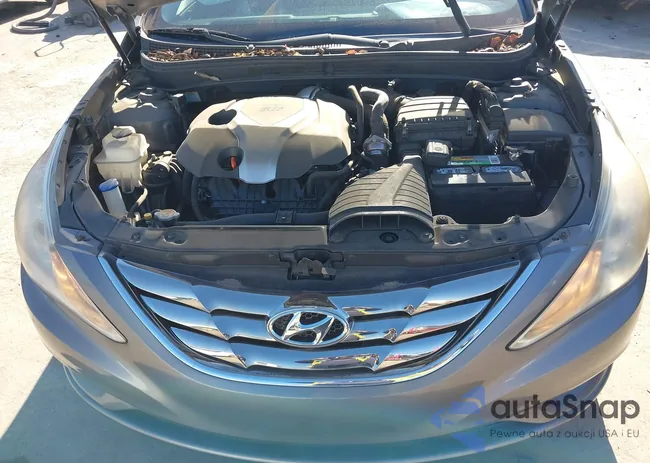 5NPEC4AB6BH230037: 43604994