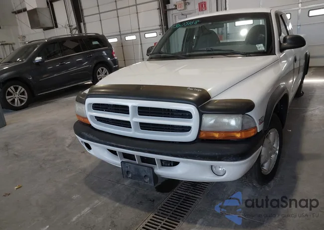 1B7GL22X5XS134500: 43605168