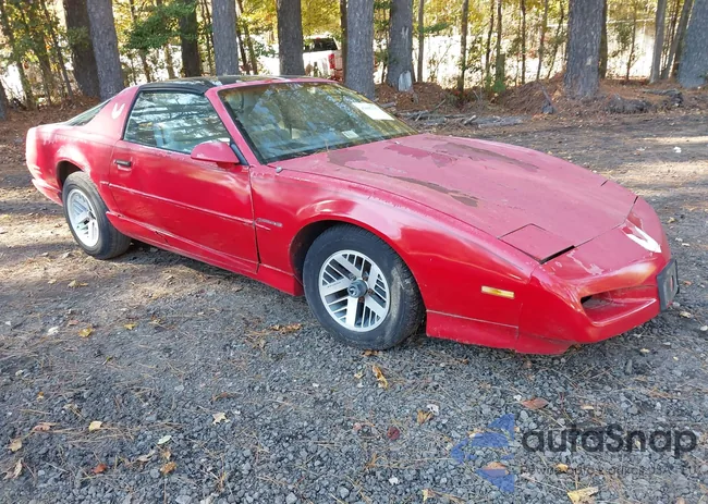 1G2FS23E5ML215809: 43605237