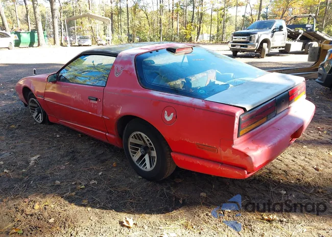 1G2FS23E5ML215809: 43605237