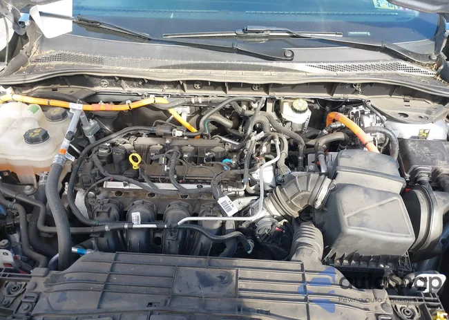 1FMCU9BZ2NUA28606: 43606699