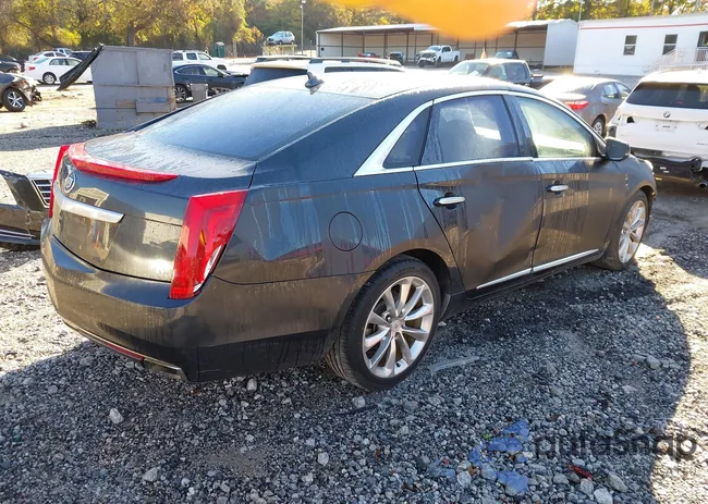 2G61P5S33D9112178: 43607445