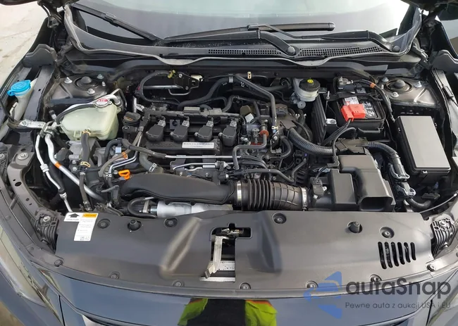 19XFC1F39KE204251: 43607714