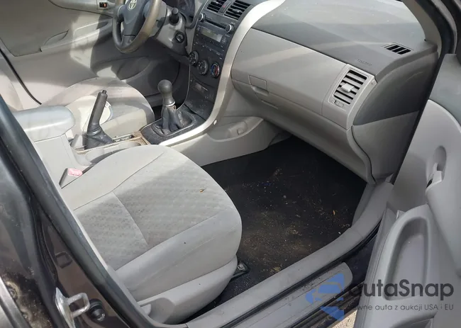 2T1BU4EEXAC487997: 43607819