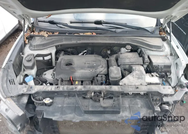 5NMS2CAD7KH116711: 43607217