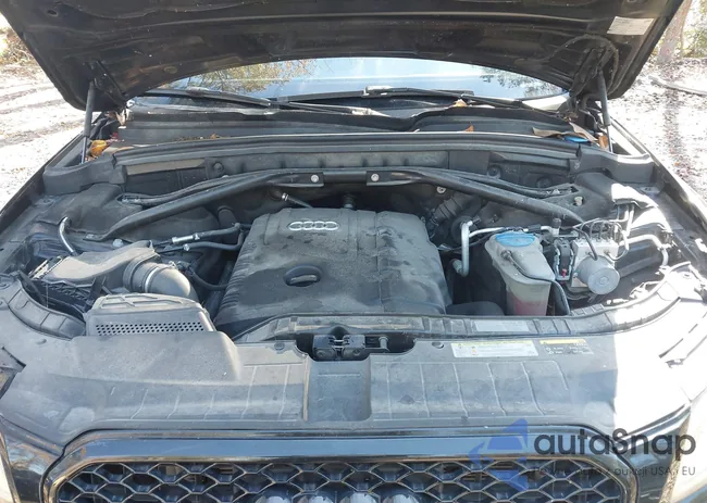 WA1CFAFP4DA008280: 43607252