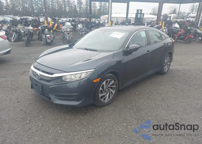 19XFC2F74GE245239: 43608535