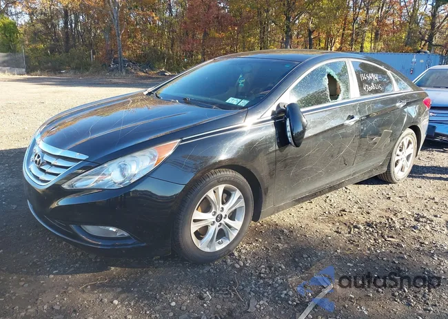 5NPEC4AC1BH242203: 43608215