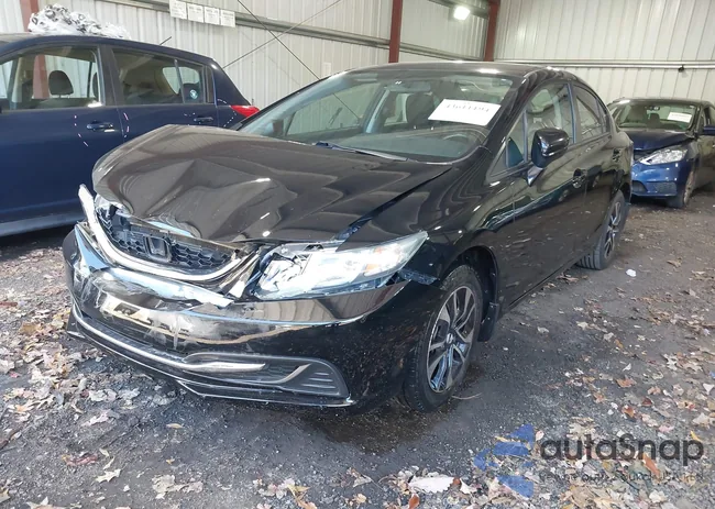 19XFB2F87FE094262: 43611194