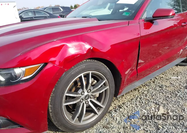 1FA6P8TH8H5258261: 43612313