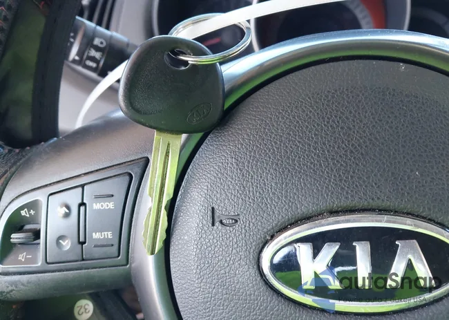 KNAFW4A32A5230679: 43612835