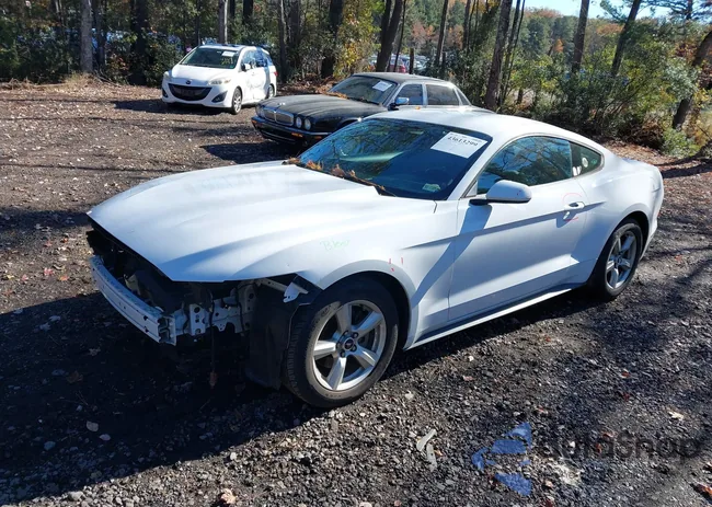 1FA6P8AM8H5329197: 43613299