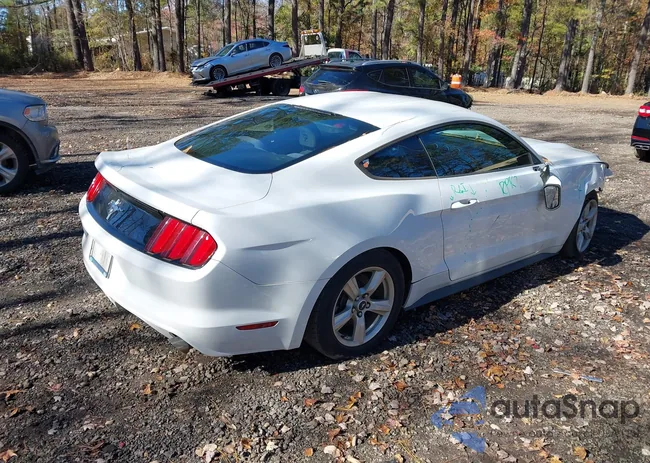 1FA6P8AM8H5329197: 43613299