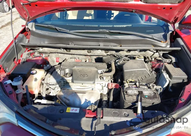 JTMWFREV7JD117120: 43613320