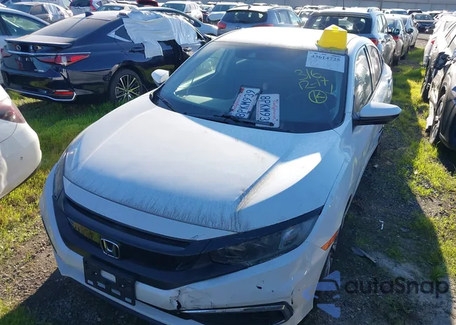 2HGFC2F66LH528765: 43614725