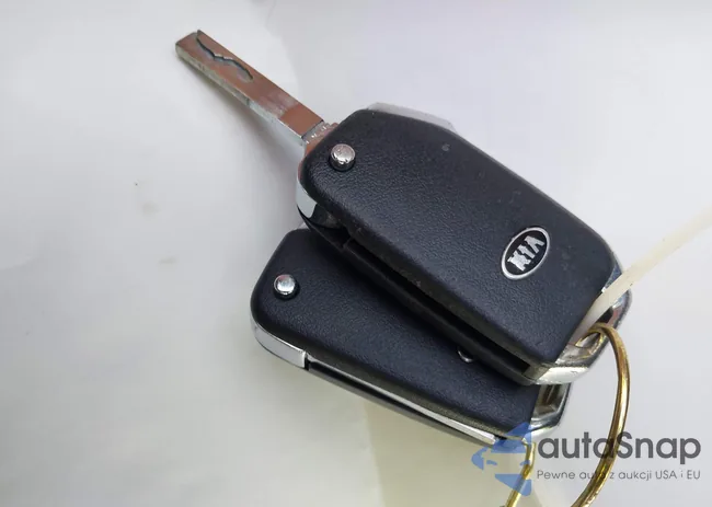 3KPF24AD6LE206979: 43615513