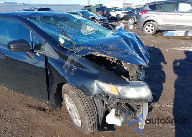 19XFB2F53FE284162: 43615782