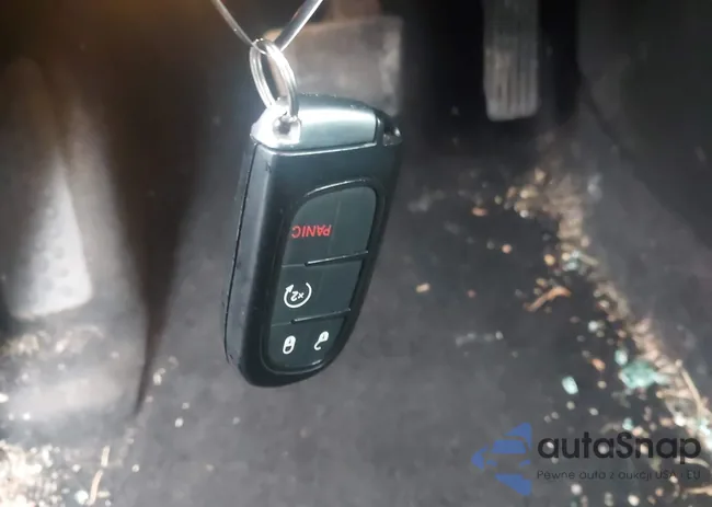 1C4PJLDS2EW173869: 43616530