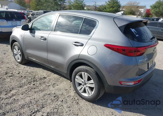 KNDPMCACXH7297987: 43617318