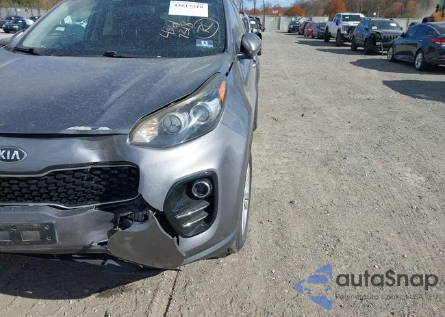 KNDPMCACXH7297987: 43617318