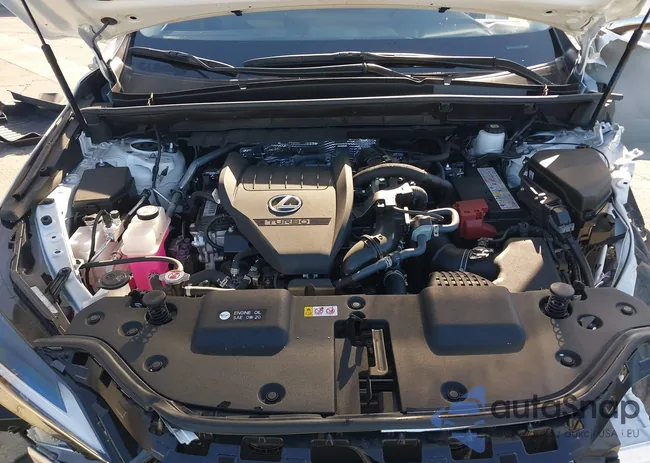 JTJGGCEZ0S5011537: 43618613