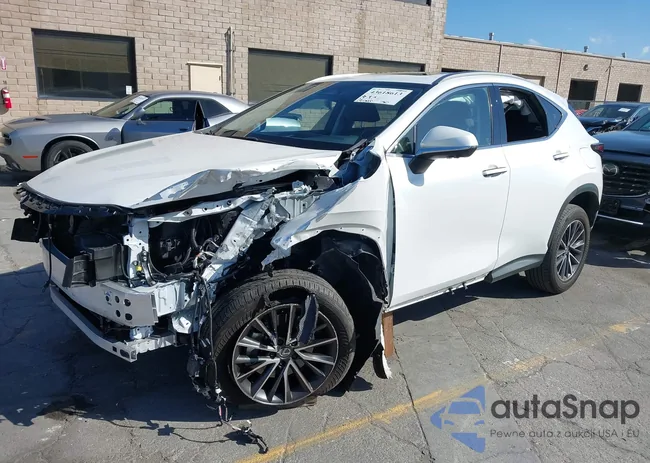 JTJGGCEZ0S5011537: 43618613