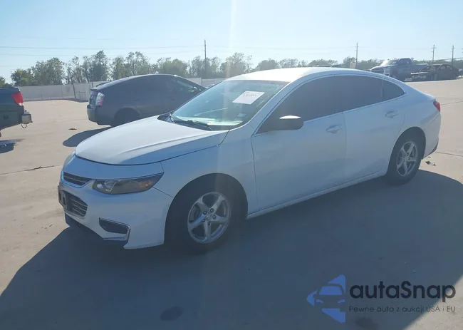 1G1ZB5ST1HF218875: 43618887