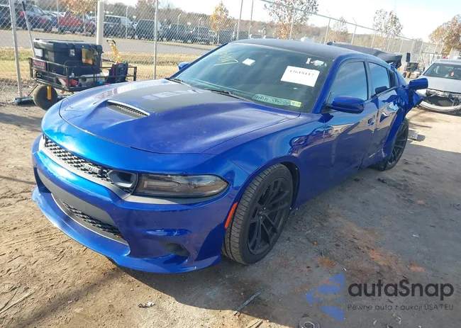 2C3CDXGJ8LH162195: 43618117