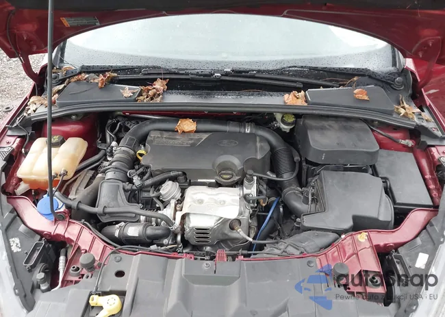 1FADP3FE0GL249172: 43618216