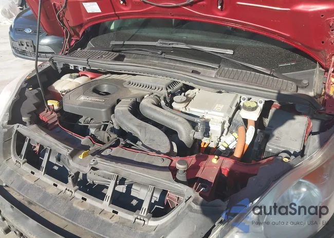 1FADP5BU5EL516845: 43618281