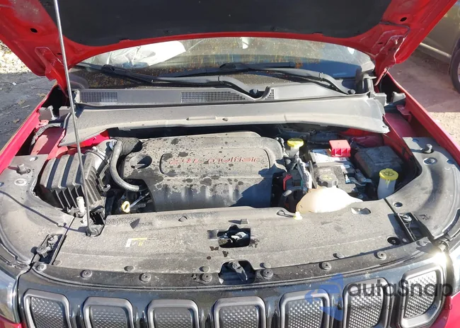 3C4NJDCB4NT135953: 43619541