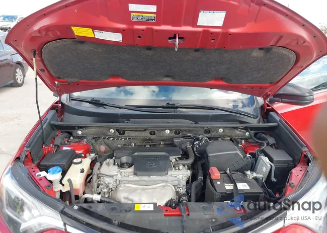 JTMZFREV8HJ118589: 43619875